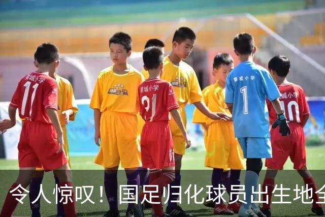 令人惊叹！国足归化球员出生地全进入世界杯16强