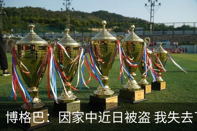 博格巴：因家中近日被盗 我失去了世界杯冠军奖牌